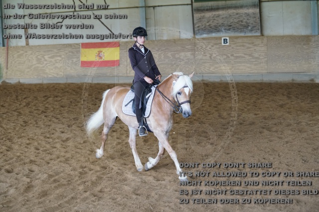 s_K3F04184.JPG
